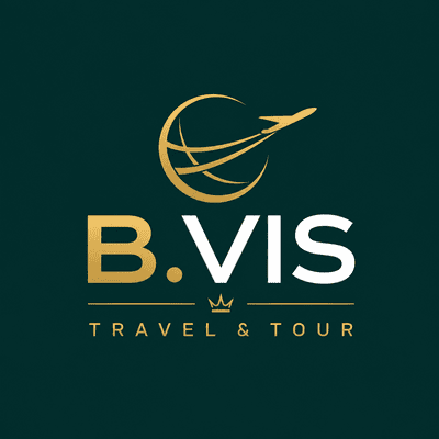 B.VIS Logo